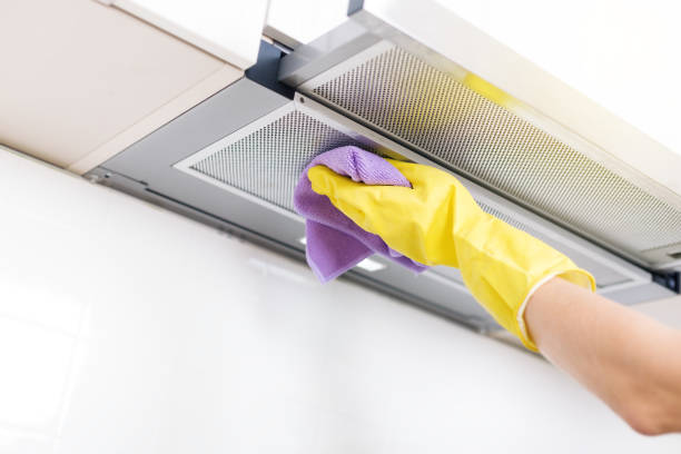 Best Ventilation Cleaning Services  in Holt, MI